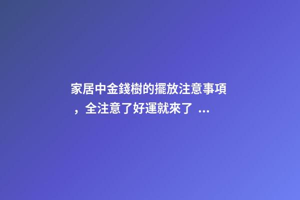 家居中金錢樹的擺放注意事項，全注意了好運就來了！